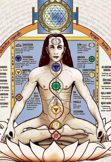 Ancient Yogi, Sacred Geometric Pattern, Vishuddha Chakra, Mahavatar Babaji, Rudra Shiva, Kundalini Meditation, Manipura Chakra, Tantra Art, Yoga Themes