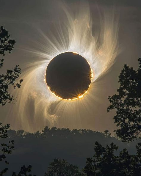 Total solar eclipse April 2024 Saturn Return, Eclipse 2024, Total Solar Eclipse, Lunar Eclipse, April 2024, Solar Eclipse, Shooting Stars, Solar, Neon