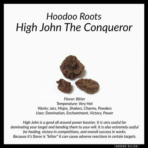 Hoodoo Roots: High John the Conqueror (posted by Eleanor) – Witches Of The Craft® Hoodoo Delish, High John The Conqueror, Hoodoo Conjure Rootwork, Hoodoo Rootwork, Hoodoo Magic, Hoodoo Conjure, Hoodoo Spells, Magickal Herbs, Witch Herbs