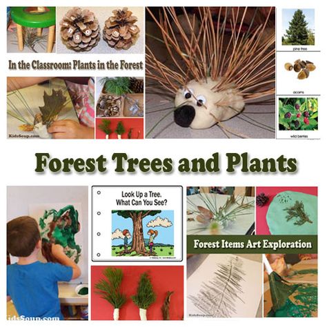 Forest Trees and Plants preschool activities, lessons, and crafts Tree Animals Preschool, Plants Preschool Activities, Camping Preschool Activities, Plants Preschool, Preschool Activities Games, Plants Science Activities, Preschool Activities Crafts, Forest Preschool, Camping Preschool