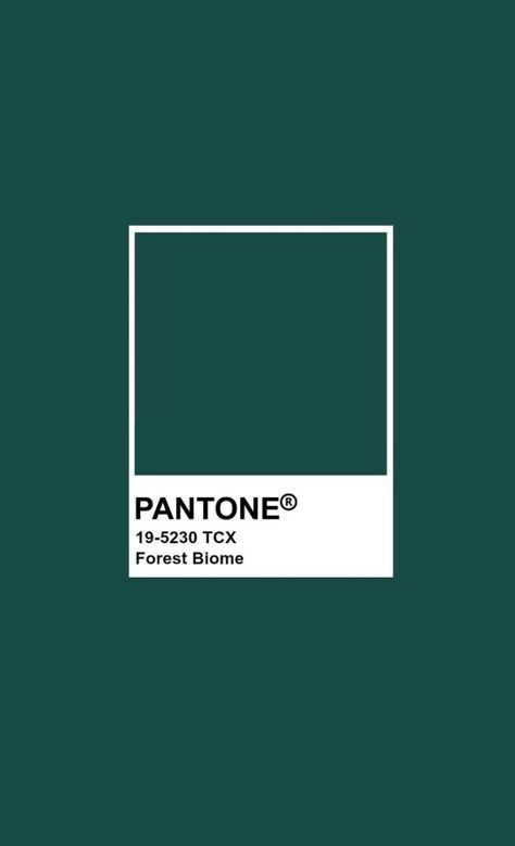 Quetzal Green Pantone, Pantone Jewel Tones, Emerald Green Pantone, Outfit Verde, Forest Biome, Pantone Green, Glamour Vintage, Fresh Salad, Little Library