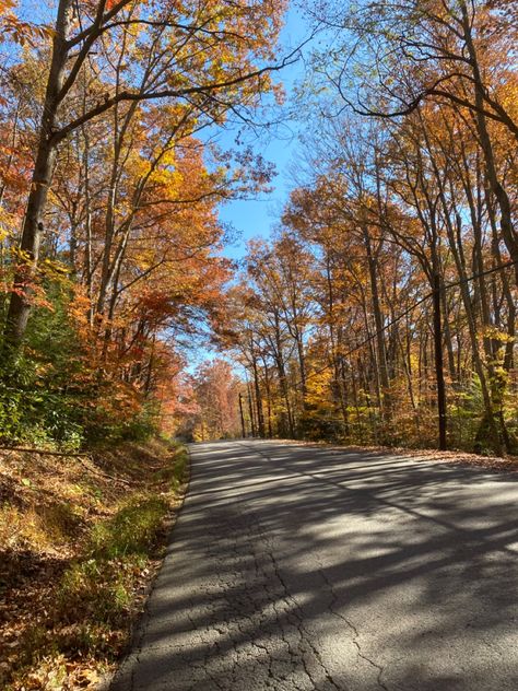 Northern Virginia Aesthetic, Virginia In The Fall, West Virginia Aesthetic, Virginia Nature, 2024 Aspirations, Virginia Aesthetic, Hiking Virginia, West Virginia Mountains, Charleston West Virginia