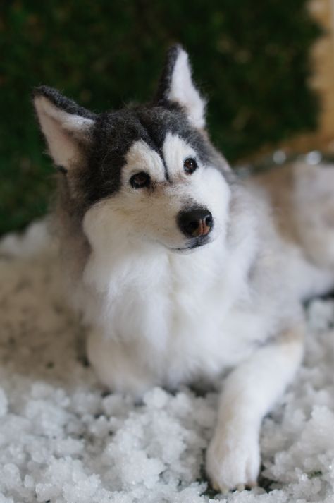 Needle Felted Dogs and Cats - Huskies Needle Felted Husky, Wool Felting Animals, Realistic Stuffed Animals, Needle Felting Diy, Needle Felted Christmas, Needle Felted Dog, Felt Dogs, Wet Felt, Felted Animals