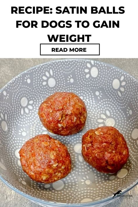 Recipe for satin balls for dogs to gain weight with a call-to-action 'Read More' Weight Gain For Dogs, Satin Balls, High Fat Snacks, Healthy Weight Gain Foods, Weight Gain Meals, Dog Needs, Healthy Weight Gain, High Fat Foods, Raw Dog Food Recipes