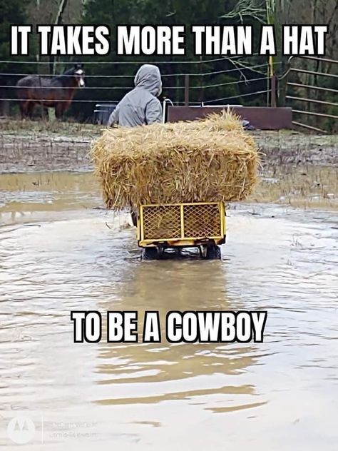 Goofy Quotes, Farm Jokes, Sarah Stone, Barrel Racing Quotes, Southern Humor, Horse Quotes Funny, Farm Humor, Horse Riding Quotes, Senior Humor