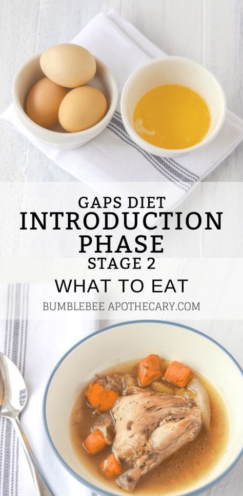 Gaps Stage 2 Recipes, Gaps Diet Food List, Gap Diet, Body Regeneration, Natural Motherhood, Bumblebee Apothecary, Gaps Intro Diet, Homemade Baby Food Storage, Gaps Intro