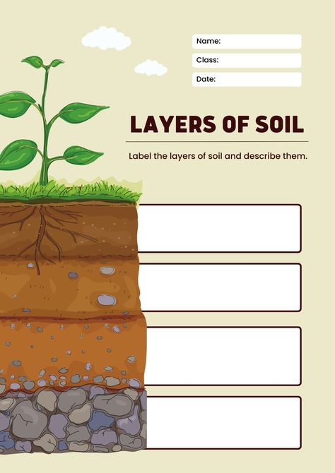 Soil Worksheet, Soil Profile, Layers Of Soil, Soil Activities, Soil Layers, Teaching Science, Worksheets For Kids, Student Learning, Soil