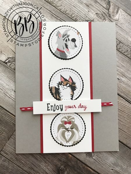 Pampered Pets Cards, Stampin Up Playful Pets, Playful Pets Stampin Up Cards, Pet Cards Handmade, Stampin Up Wow Cards, Stampin Up Dog Cards, Pampered Pets Stampin Up Cards, Stampin Up Animal Cards, Stampin Up Pampered Pets