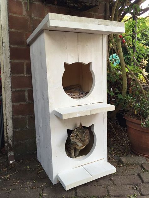 Vous avez un chat ? N’hésitez pas à vous inspirer et piochez quelques idées parmi notre sélection de 20 cabanes extérieures pour les chats. #chat #jardin #cabane #inspiration #design    (Crédit photo : Pinterest) Katt Hus, Katt Diy, Outside Cat House, Cat House Plans, Outdoor Cat Shelter, Feral Cat House, Chat Diy, Cat Patio, Cat House Diy