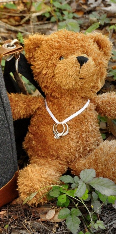 Young ring bearer takes rings down the aisle on favorite teddy Ring Bearer Stuffed Animal, Ring Bear Outfit, Teddy Bear Wedding, Ring Bearer Proposal, Wisteria Lane, Bear Wedding, Ring Bear, Wedding Help, Themed Weddings