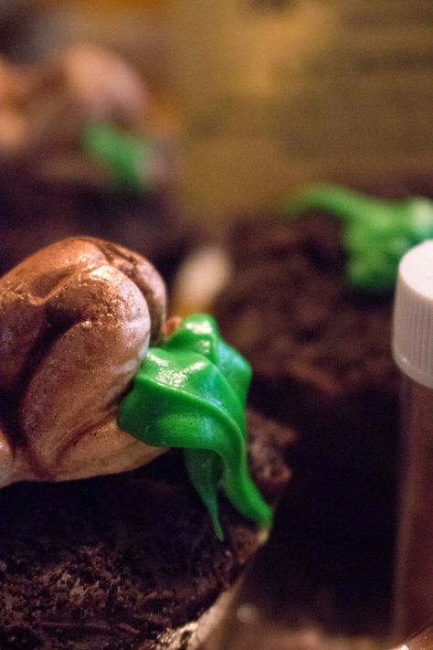 Harry Potter Recipes: Mandrake Cupcakes | Dare to Cultivate Mandrake Cupcakes, Harry Potter Recipes, Harry Potter Food, Fondant Baby, Crushed Oreos, Chocolate Fudge Cake, Piping Icing, Great Hall, Fudge Cake