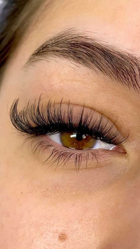 D Curl Lashes Extensions, Soft Volume Lashes, Mink Lashes Extensions, Wispy Volume, Lashes Fake Eyelashes, Mink Lash Extensions, Volume Lash Extensions, Pretty Lashes, Smink Inspiration