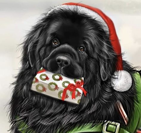 Newfoundland Christmas, Newfoundland Dogs, Dog Remembrance, Adorable Puppy, Newfoundland Dog, Dog Cards, Remembrance Day, Dog Paintings, Christmas Love