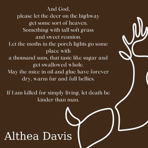 Althea Davis Poem, If I Am Killed For Simply Living Poem, If I Am Killed For Simply Living, Animal Poems, I Have A Headache, Write Poetry, Poster Text, Aesthetic Life, Men Quotes