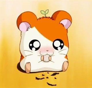 Hamster Cartoon, Cartoon Kawaii, Cute Anime, Kawaii Drawings, Cartoon Cute, Art Girl, Cute Art, We Heart It, Lost