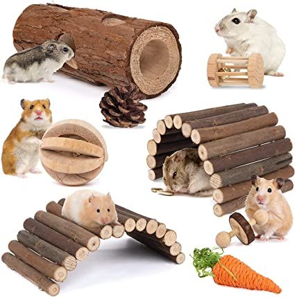 Amazon.com : Sofier Hamster Toys Hamster Accessories for Cage Natural Guinea Pig Toys and Chews for Teeth Rat Toys Chinchilla Toys Wood Hamster Hideout Hamster Bridge Apple Wood Sticks : Pet Supplies Hamster Toys Diy, Fairy Mushroom House, Chinchilla Toys, Hamster Hideout, Hamster Accessories, Hamster Life, Pig Toys, Rat Toys, Diy Pet Toys