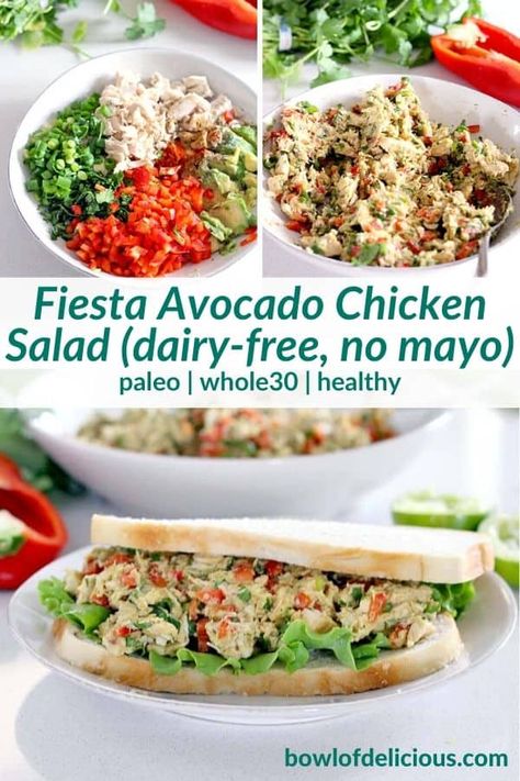 Chicken Salad No Mayo, Paleo Chicken Salad, Resep Sandwich, Keto Chicken Salad, Fiesta Chicken, Avocado Chicken, Whole30 Keto, Dairy Free Paleo, Boiled Egg Diet Plan