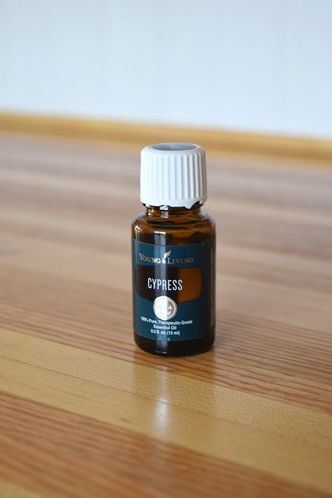 5 Reasons why you should use Cypress Essential oil - A Stray Kitchen Young Living Cypress, Cupressus Sempervirens, Deodorant Recipes, Cypress Oil, Cypress Essential Oil, Essential Oil Combinations, Essential Oil Roller Balls, Essential Oil Benefits, Earthy Scent