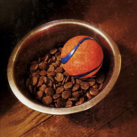 Put a ball in your dog’s food bowl if he or she eats too fast. | 38 Brilliant Hacks For Dog Owners Dog Life Hacks, Dog Food Bowls, Dog Hacks, Pet Hacks, Dog Parents, He Or She, Dog Eating, Food Bowl, Diy Dog Stuff