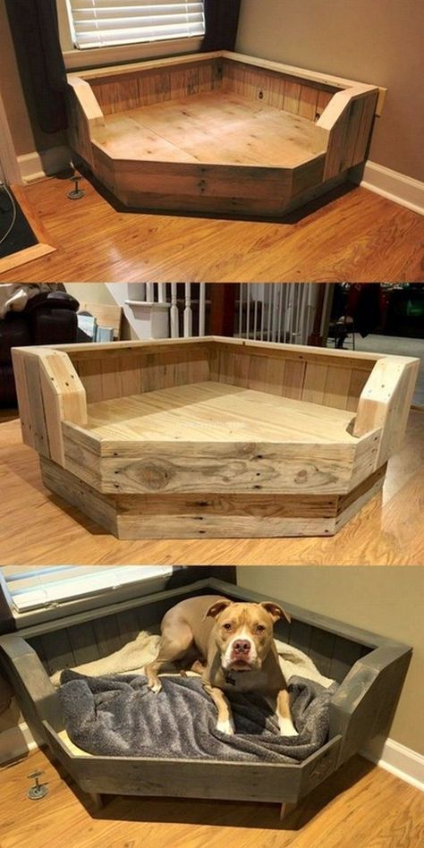 (paid link) Adorable DIY Dog Beds Festival Tips, Pallet Dog Beds, Cute Dorm Rooms, Apartment Budget, Beauty Tricks, Diy Camping, Diy Holz, Fitness Advice, Diy Home Decor On A Budget