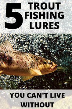 In all of my years of #fishing these #lures are hands down the best for #catching #trout. These five #baits work well for all species of trout. You can fish them in lakes, river, streams, or ponds. Fish with confidence, this article will not steer wrong. Best Trout Lures, Trout Fishing Lures, Crappie Fishing Tips, Trout Fishing Tips, Trout Bait, Fishing For Beginners, Fly Fishing Tips, Bass Fishing Tips, Walleye Fishing