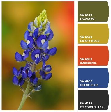 Texas tones! My photo of a Texas bluebonnet flower and a palette generated by the Sherwin-Williams "Chip It" tool at http://letschipit.com Bluebonnet Color Palette, Texas Wildflower Color Palette, Bluebonnet Flower, Texas Blue Bonnets, Texas Bluebonnets Art, Texas Bluebonnets Photography, Blue Bonnet Flowers Texas Bluebonnets, Star Ideas, Paint Color Combos