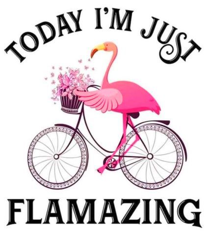 Today I'm going to be flamazing #flamingo #humor Flamingos Quote, Bicycle With Flowers, Flamingo Pictures, Fancy Flamingo, Flamingo Theme, Flamingo Love, Flamingo Decor, Flamingo Art, Flamingo Party