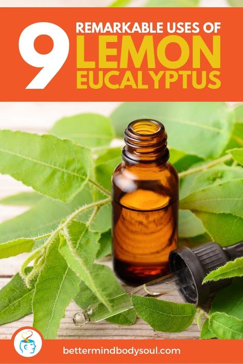 Lemon Eucalyptus Bug Spray, Lemon Eucalyptus Oil Uses, Doterra Lemon Eucalyptus, Bug Repellant, Natural Bug Repellent, Lemon Benefits, Lemon Eucalyptus, Natural Insect Repellant, Bug Spray