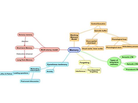 Memory Psychology, A Level Psychology, Psychology Revision, Psychology A Level, Teaching Psychology, Ap Psychology, Psychology Notes, A Level, Revision Notes