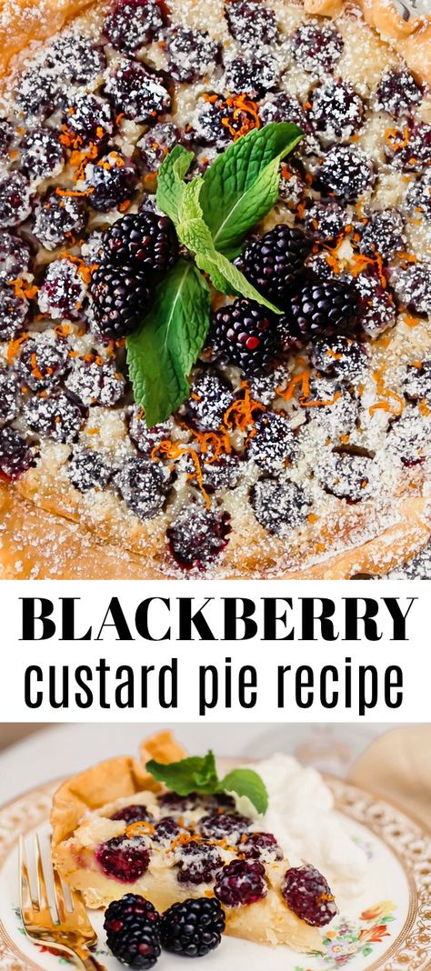 This custard pie with blackberries is the perfect dessert for entertaining. The flaky crust, fresh berries, and luscious custard are a winning combination! Serve this pie at a dinner party or take it to a potluck party. #pie #blackberries #dessert Easy Custard Pie, Blackberry Custard, Creme Brulee Pie, Best Pumpkin Pie Recipe, Easy Custard, Custard Pie Recipe, Dessert Pie Recipes, Best Pumpkin Pie, Potluck Party