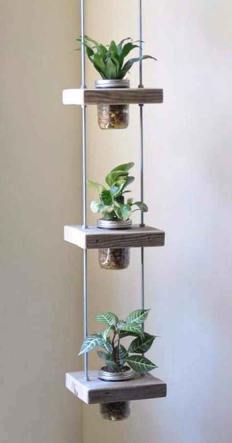 Vertical Planting, Cactus Terrarium, Cement Vase, Succulent Garden Indoor, نباتات منزلية, Kabinet Dapur, Deco Nature, Diy Plant Stand, Succulents In Containers