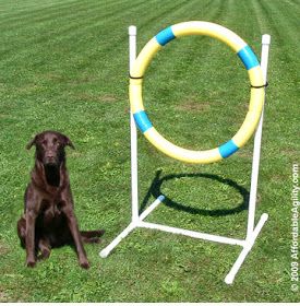 Grace and Buster: DIY Agility Equipment: Tire Jump Dog Agility Course Diy, Dog Agility Course, Agility Training For Dogs, Dog Playground, House Training Dogs, Dog Games, Agility Training, Dog Fence, Dog Hacks