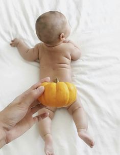 Photoshoot Ideas For Boys, Baby Fall Photoshoot, Baby Pumpkin Pictures, Fall Newborn Pictures, Fall Baby Photos, Fall Baby Pictures, Fall Photoshoot Ideas, Diy Newborn Photography, Pumpkin Patch Pictures