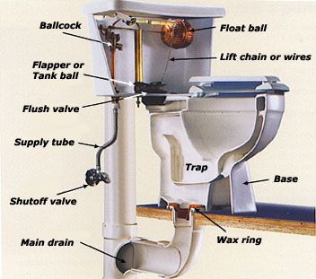 Everything you needed to know about the anatomy of a toilet... A good reference for your next #DIY fix. #FischerPlumbing Diy Crates, Toilet Plumbing, Plumbing Diagram, Replace Toilet, Bathroom Repair, Residential Plumbing, Toilet Repair, Toilet Installation, Plumbing Drains