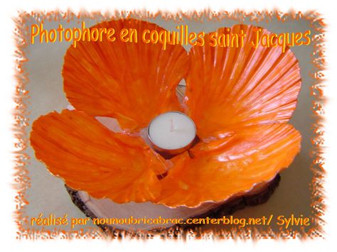 Coquille St Jacques, Coquille Saint Jacques, Sea Crafts, Saint Jacques, Pineapple, Candle Holders, Shells, Candles, Fruit