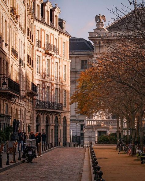 Pronoti_B on Instagram: "Place Dauphine on an autumn afternoon: little sleepy, and very dreamy; the November light and fall leaves more than makes up for the chestnut blossoms from spring that I miss. Hope you make the best of this last week before December comes knocking. 📍Place Dauphine, Île de la Cité . . . . . . . . . . #lavieestbelle #lavieparisienne #parisianlifestyle #parismood #parismonamour #parisiloveyou #parislove #placedauphine #iledelacite #parisianarchitecture #parisianblogger #p Place Dauphine Paris, Place Dauphine, Paris Tourism, Paris Autumn, Grad Trip, Paris Mood, Parisian Architecture, Autumn Afternoon, Parisian Lifestyle