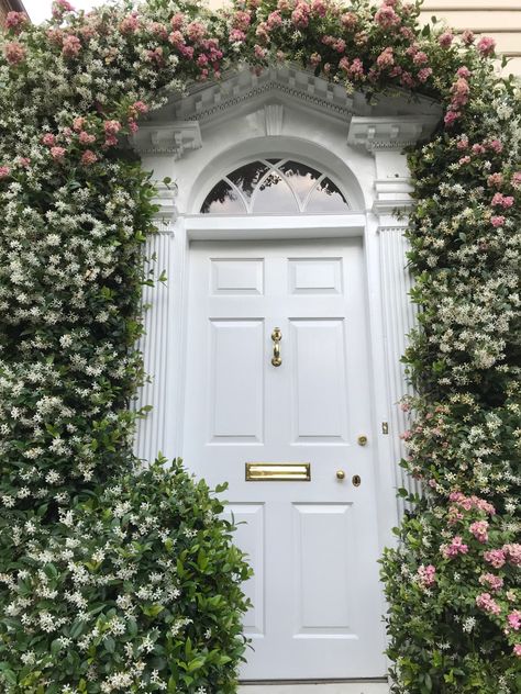 That famous door with jasmine and roses in bloom. Charleston, South of Broad. Jasmine Arch, Backyard Plants, Star Jasmine, Jasmine Flower, Plant Ideas, Diy Mirror, Green House, Indoor Outdoor Living, In Bloom