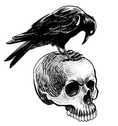 Crow On Skull, Work Printables, Usmc Tattoo, Embroidery Skull, Magnolia Design Co, Skull Stencil, Halloween Stencils, Crow Tattoo, Crow Skull