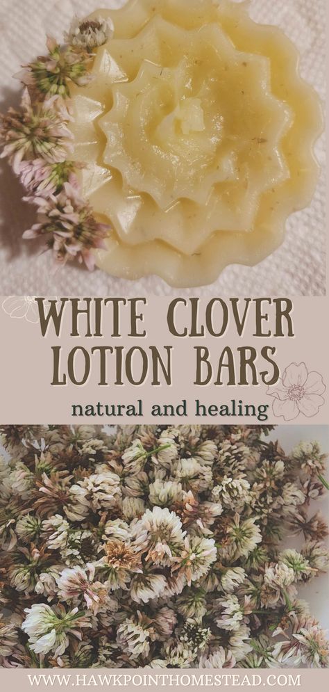 Dried Yarrow, Lotion Bars Diy, Homemade Lotion Bars, Lotion Bars Recipe, Gift Homemade, Herbal Remedies Recipes, Lotion Recipe, White Clover, Diy Beauty Treatments