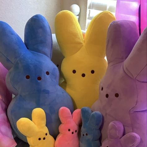 Cute plushies i found during easter shopping! Peeps Aesthetic, Pink Peep, Cute Plushies, Easter Shopping, Birthday Ideas, Easter, Birthday, Pink, Quick Saves