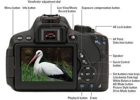 Canon 700d Camera, Photography Tips Canon, Cannon Camera, Writing Reviews, Canon 700d, Nikon D5100, Photography Cheat Sheets, Camera Tips, Tourism Industry