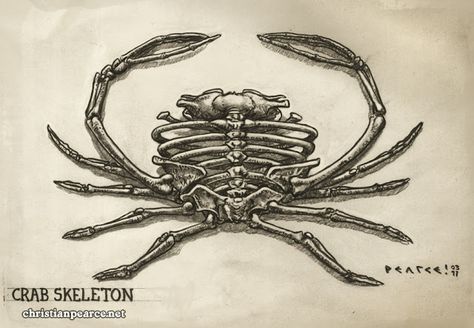 Christian Pearce: Crab Skeletons Crab Tattoo, Themed Tattoos, Astrology Tattoo, Skeleton Drawings, Skeleton Tattoos, Ocean Tattoos, Nautical Tattoo, Tattoo Photography, Zodiac Tattoos