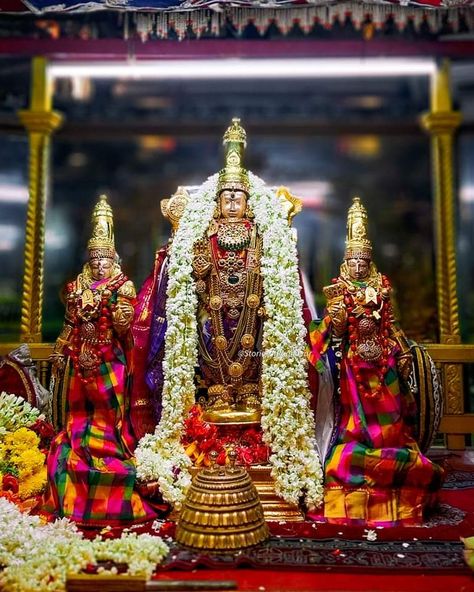 Murugan With Valli Deivanai, Murugan Valli Deivanai Hd Images, Murugan Valli Deivanai, Murugan Wallpapers, Lord Murugan Wallpapers, Hd Wallpaper 4k, Lord Murugan, Pooja Rooms, Indian Gods