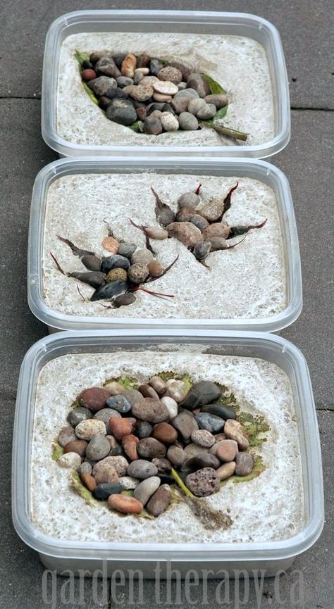 How to Make Leaf Imprint Stepping Stones Made from Concrete (via Garden Therapy) Backyard Crafts, Concrete Leaves, Concrete Stepping Stones, Stepping Stones Diy, Concrete Diy Projects, Garden Stepping Stones, Garden Steps, Outdoor Crafts, Concrete Crafts