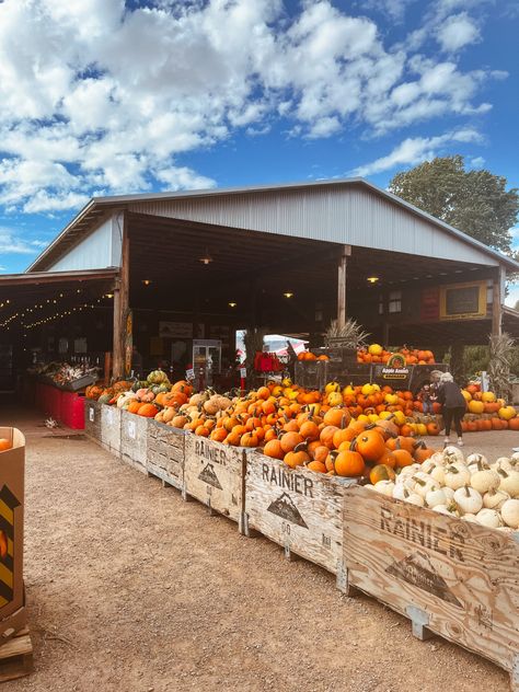 Pumpkin Patch Food, Pumpkin Patch Food Ideas, Pumpkin Patch Layout, Fall Farm Market, Pumpkin Patch Ideas, Pumpkin Patch Business, Pumpkin Patch Attractions, Pumpkin Patch Farm, Patches Display