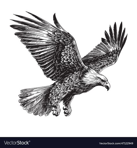 Eagle In Flight Drawing, Bald Eagle Coloring Page, Eagle Clipart Black And White, Eagle In Flight Painting, Eagle Flying Over Mountains, Bird Eagle, Eagle In Flight, Wild Bird, Vector Drawing