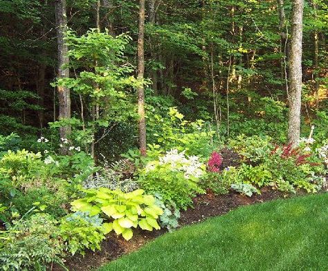 Landscape Design in Wooded Areas | KG Landscape Management Playground Backyard Landscaping, Wooded Backyard Landscape, Fern Garden, Large Backyard Landscaping, Wooded Area, Patio Grande, Wooded Landscaping, Desain Lanskap, Garden Shrubs