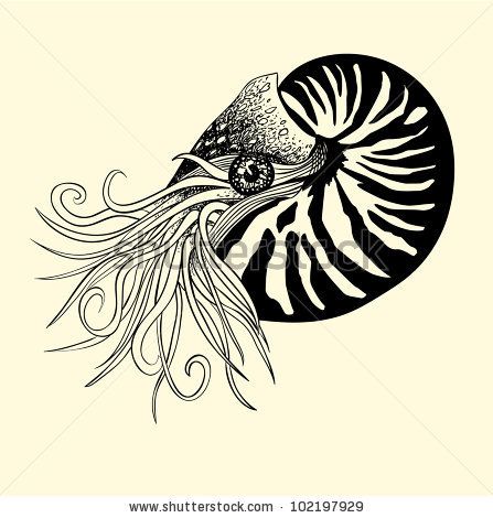 Nautilus Tattoo - "The ancient Nautilus Shell is a symbol of proportional perfection. It is the most inspiring and energetic form known to human kind. It is also the perfect paradox – having survived relatively unchanged for millions of years, the Nautilus Shell is, oddly enough, a symbol for expansion and renewal as it grows increasingly larger chambers throughout its life." Nautilus Tattoo, Shell Tattoos, Sea Drawing, Sea Creatures Art, Simple Tattoos For Guys, Chest Hair, Sea Tattoo, Ocean Tattoos, Coral Art