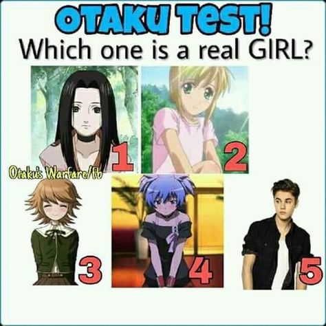 Otaku Test, Naruto Meme, Anime Humor, Anime Facts, Anime Zodiac, Japanese Film, Anime Mix, Anime Fandom, Memes Anime