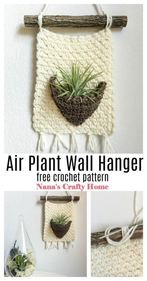 Crochet Air Plant Holder, Plant Wall Hanger, Angels Crochet, Air Plant Wall, Airplant Wall, Crochet Cushion Pattern, Crochet Plant Hanger, Crochet Succulent, Crochet Decor